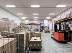 Woodlands Horizon (D25), Factory #558507761